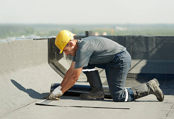 Best Specialized Insulation Services in Pinebluff, NC